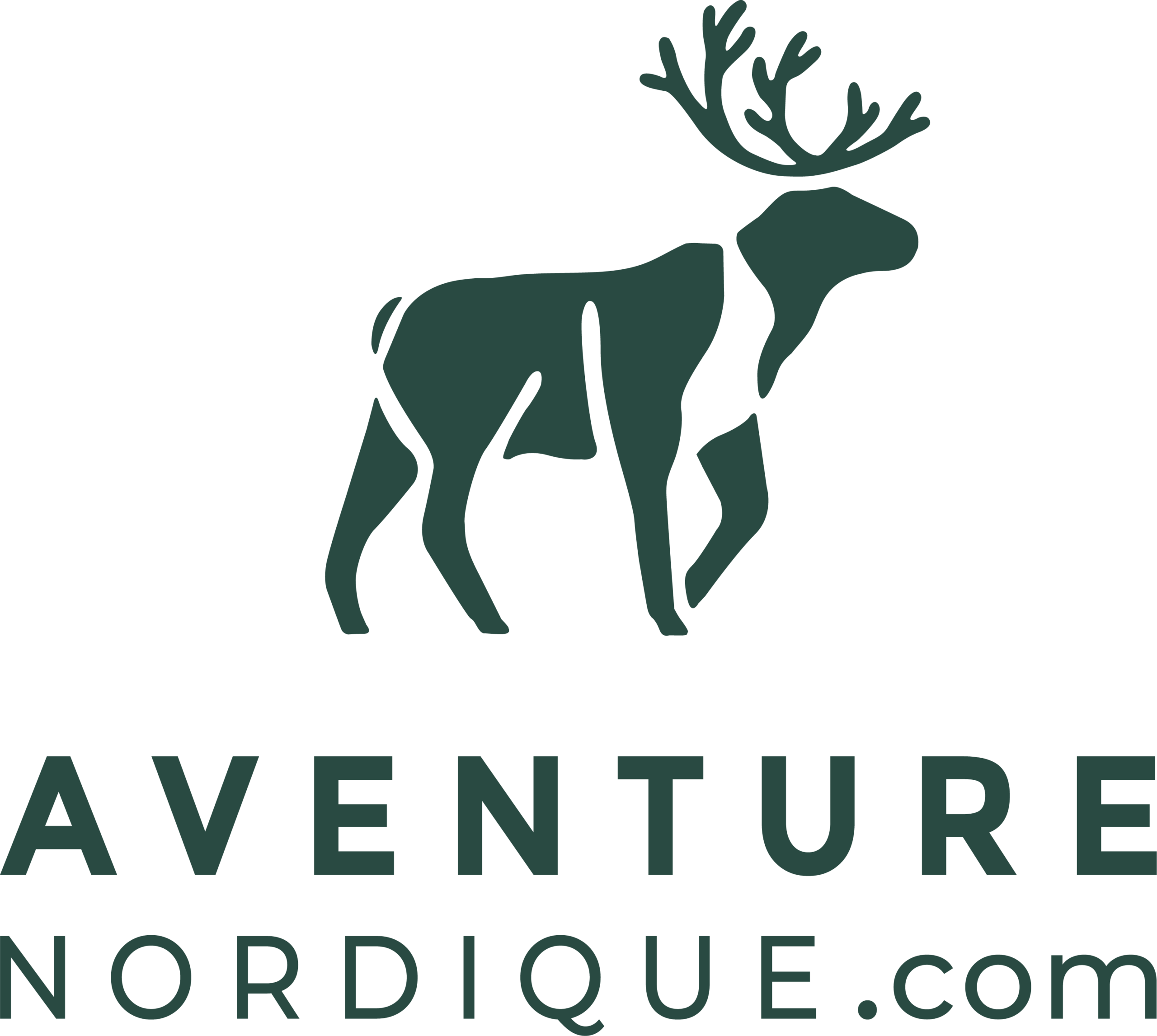 Aventure Nordique
